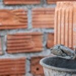 المواد المدعومة للبناء في الكويت: خطوة نحو دعم قطاع المقاولات والبناء