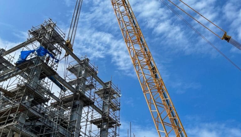 عروض الهيكل الأسود